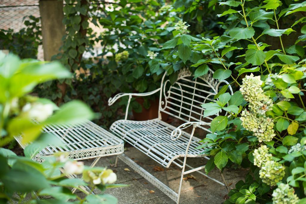 Le Ortensie Di Via Rossetti Bed and Breakfast Trieste Exterior foto